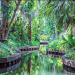 Winter Park Scenic Boat Tour